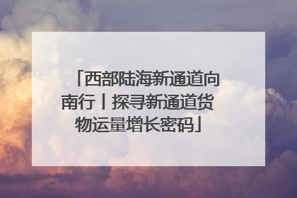西部陆海新通道向南行丨探寻新通道货物运量增长密码