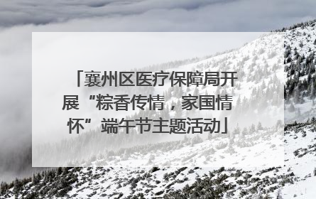 襄州区医疗保障局开展“粽香传情，家国情怀”端午节主题活动