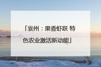 襄州：果香虾跃 特色农业激活新动能