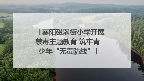 襄阳磁器街小学开展禁毒主题教育 筑牢青少年“无毒防线”