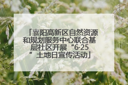 襄阳高新区自然资源和规划服务中心联合基层社区开展“6·25”土地日宣传活动