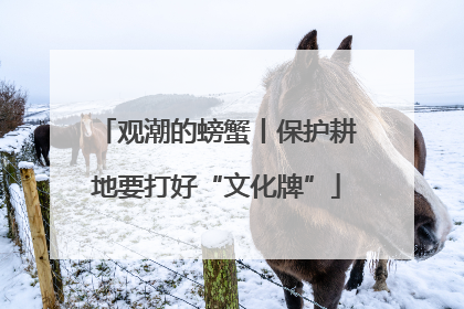 观潮的螃蟹丨保护耕地要打好“文化牌”