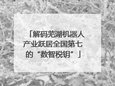 解码芜湖机器人产业跃居全国第七的“数智税钥”
