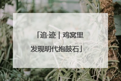 追·迹｜鸡窝里发现明代抱鼓石