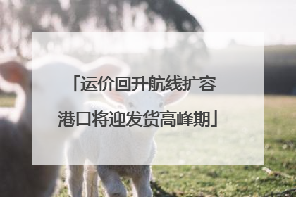 运价回升航线扩容 港口将迎发货高峰期