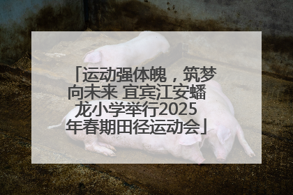 运动强体魄，筑梦向未来 宜宾江安蟠龙小学举行2025年春期田径运动会