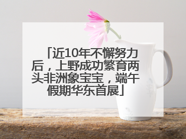 近10年不懈努力后，上野成功繁育两头非洲象宝宝，端午假期华东首展