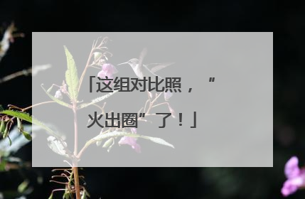 这组对比照，“火出圈”了！