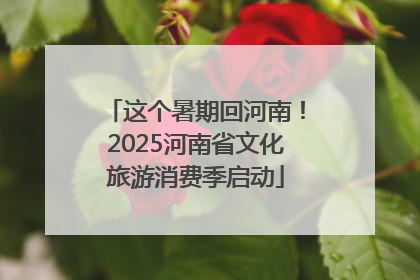 这个暑期回河南！2025河南省文化旅游消费季启动