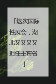 这次国际性展会，湖北又又又又担任主宾省