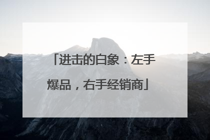 进击的白象：左手爆品，右手经销商