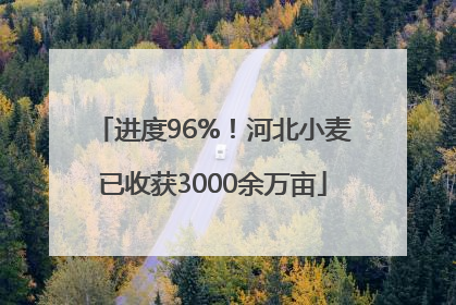 进度96%！河北小麦已收获3000余万亩