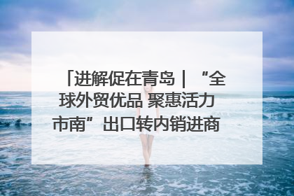 进解促在青岛｜“全球外贸优品 聚惠活力市南”出口转内销进商超专场活动启动