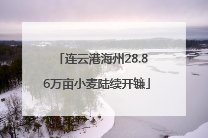 连云港海州28.86万亩小麦陆续开镰