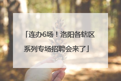 连办6场！洛阳各辖区系列专场招聘会来了