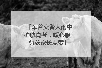 车谷交警大雨中护航高考，暖心服务获家长点赞