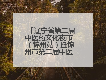 辽宁省第二届中医药文化夜市（锦州站）暨锦州市第二届中医康养夜市启幕