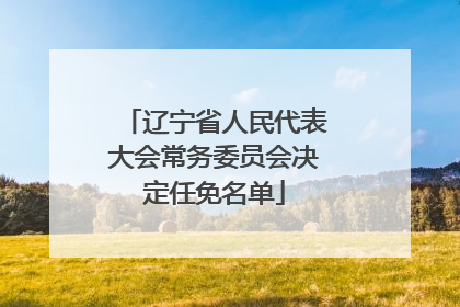 辽宁省人民代表大会常务委员会决定任免名单