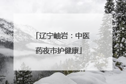 辽宁岫岩：中医药夜市护健康
