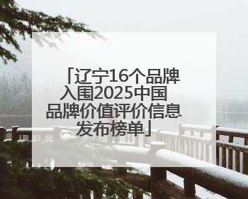 辽宁16个品牌入围2025中国品牌价值评价信息发布榜单