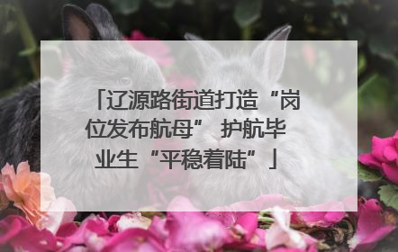 辽源路街道打造“岗位发布航母” 护航毕业生“平稳着陆”