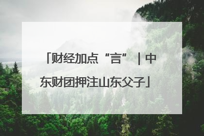 财经加点“言”｜中东财团押注山东父子