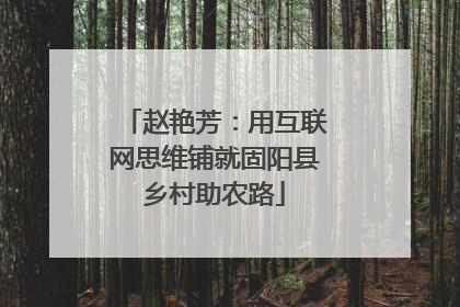 赵艳芳：用互联网思维铺就固阳县乡村助农路