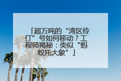 超万吨的“湾区伶仃”号如何移动？工程师揭秘：类似“蚂蚁托大象”
