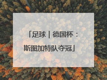 足球｜德国杯：斯图加特队夺冠