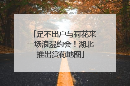 足不出户与荷花来一场浪漫约会！湖北推出赏荷地图
