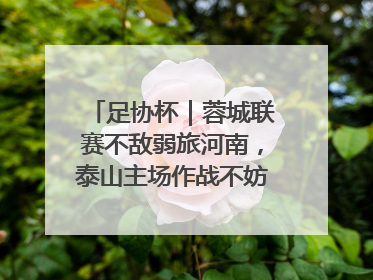 足协杯｜蓉城联赛不敌弱旅河南，泰山主场作战不妨“抄作业”