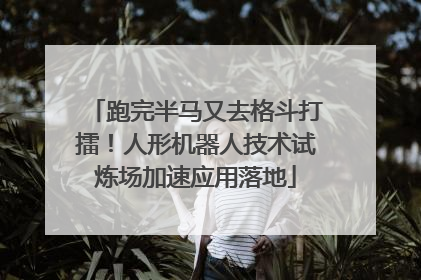 跑完半马又去格斗打擂！人形机器人技术试炼场加速应用落地