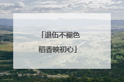 退伍不褪色 稻香映初心