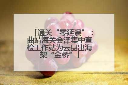 通关“零延误”：曲靖海关会泽集中查检工作站为云品出海架“金桥”