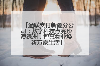 通联支付新疆分公司：数字科技点亮沙漠绿洲，智慧物业焕新万家生活