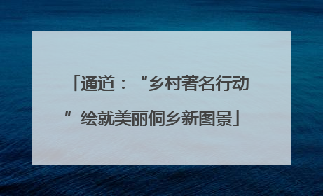 通道：“乡村著名行动”绘就美丽侗乡新图景