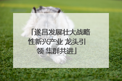 遂昌发展壮大战略性新兴产业 龙头引领 集群共进
