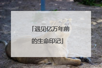 遇见亿万年前的生命印记
