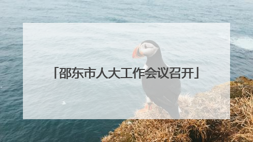 邵东市人大工作会议召开