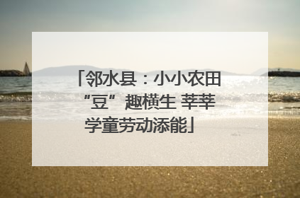 邻水县：小小农田“豆”趣横生 莘莘学童劳动添能