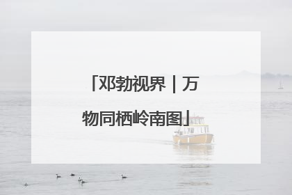 邓勃视界｜万物同栖岭南图