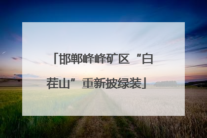 邯郸峰峰矿区“白茬山”重新披绿装