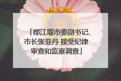 都江堰市委副书记、市长张亚丹 接受纪律审查和监察调查