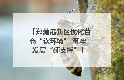 郑蒲港新区优化营商“软环境” 筑牢发展“硬支撑”