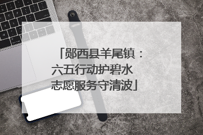 郧西县羊尾镇：六五行动护碧水 志愿服务守清波