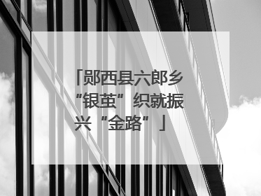 郧西县六郎乡“银茧”织就振兴“金路”