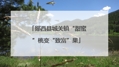郧西县城关镇“甜蜜”桃变“致富”果