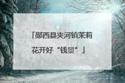 郧西县夹河镇茉莉花开好“钱景”