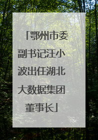 鄂州市委副书记汪小波出任湖北大数据集团董事长