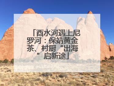 酉水河遇上尼罗河：保靖黄金茶、村厨“出海”启新途